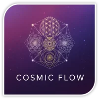 Law of Attraction(Sinhala)